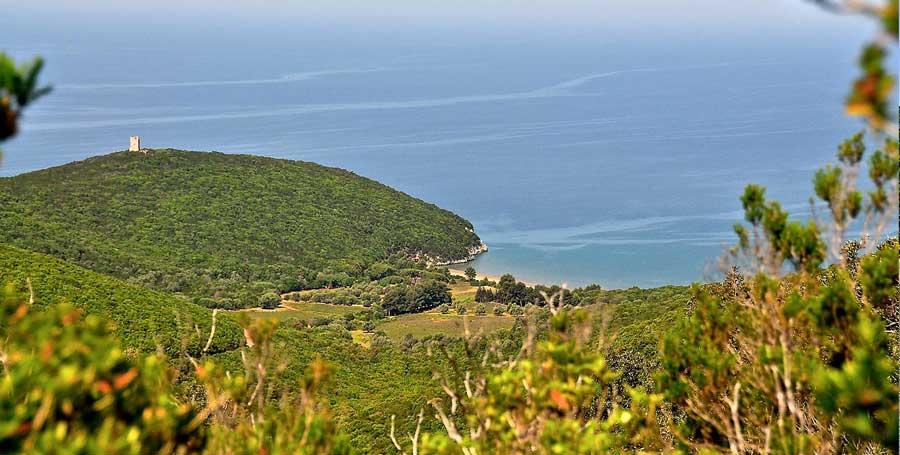 Costa de la Maremma