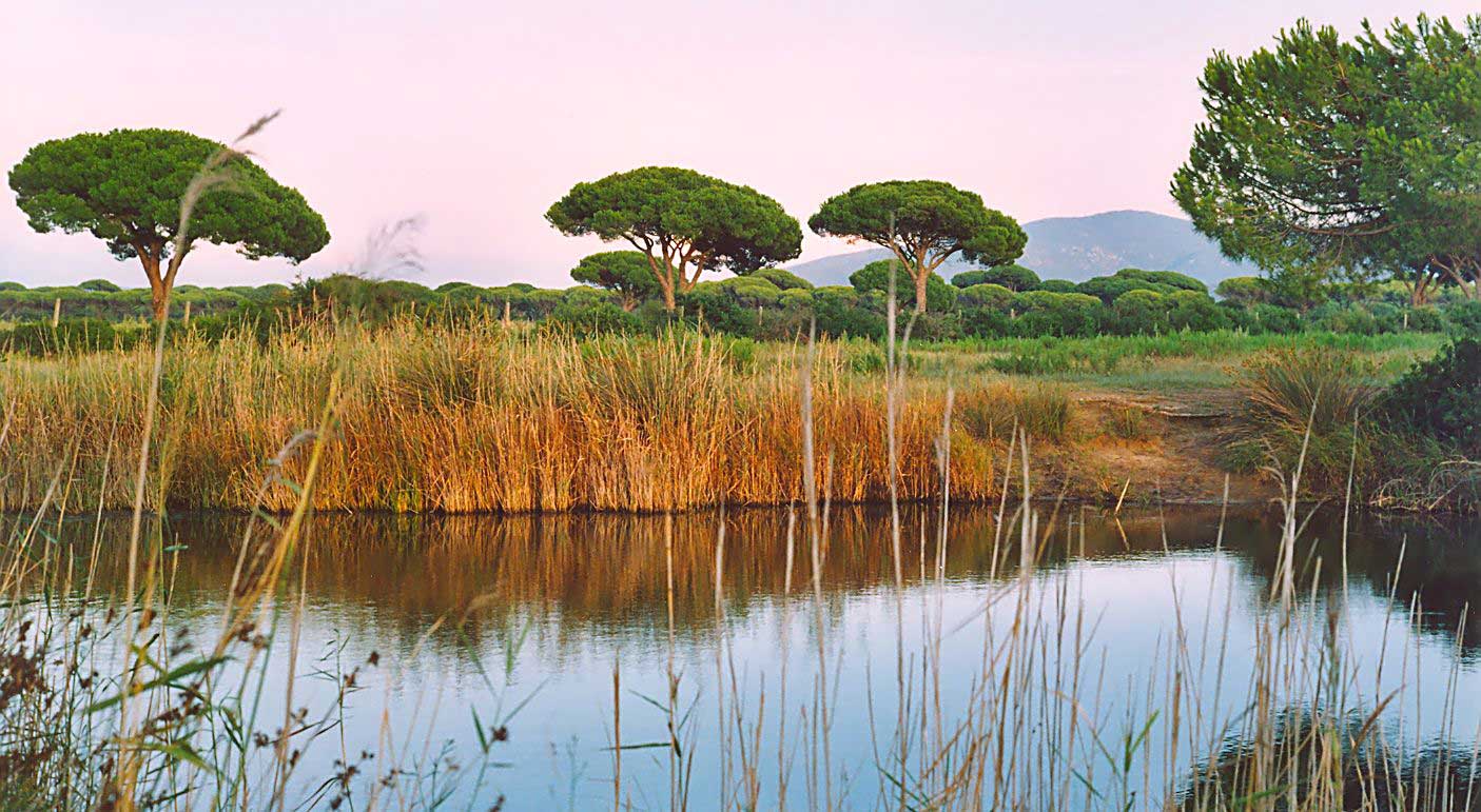 Parque Natural de la Maremma